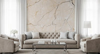 Cream and Charcoal Vein Stone Wall Mural
