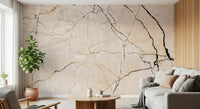 Cream and Black Marble Vein Wall Mural