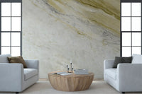 Golden Vein Marble Texture Wall Mural