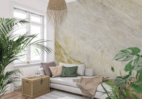 Golden Veined Stone Texture Wall Mural