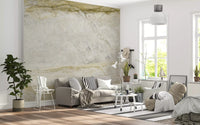 Golden Vein Marble Slab Wall Mural