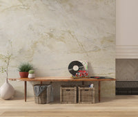 Cream and Gold Marble Vein Wall Mural