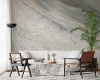Cool Grey Marble Vein Surface Wall Mural