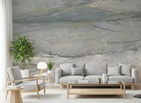 Cool Grey Stone Veins Wall Mural