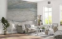 Cool Grey Stone Veins Wall Mural
