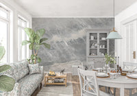 Cool Grey Marble Vein Wall Mural