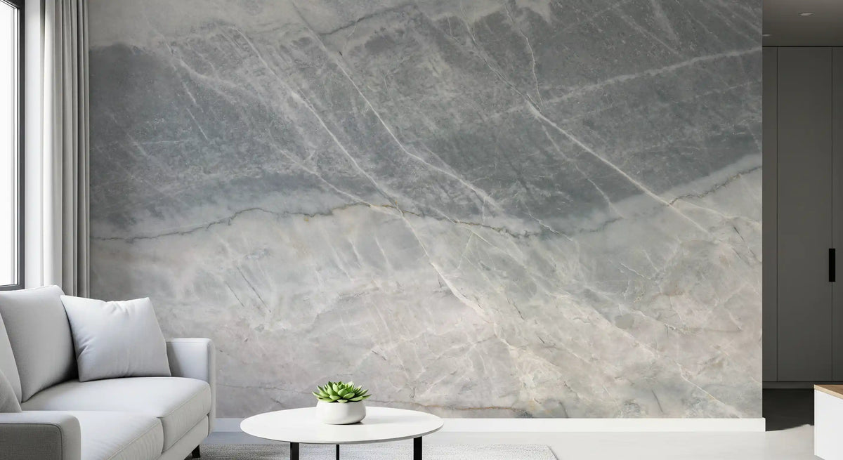 Cool Grey Marble Veined Stone Texture Wall Mural