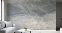 Cool Grey Marble Veined Stone Texture Wall Mural