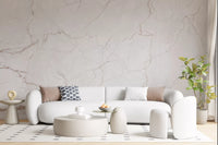 Subtle Blush Marble Veining Wall Mural