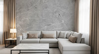 Cool Grey Stone Texture Wall Mural