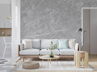 Classic Grey Veined Marble Wall Mural