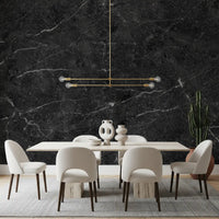 Midnight Slate Veined Marble Wall Mural