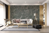 Charcoal Veined Marble Slab Wall Mural
