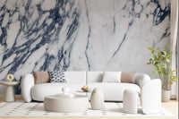 Monochrome Marble Vein Wall Mural