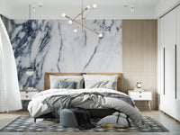 Monochrome Marble Vein Wall Mural