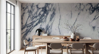 Monochrome Marble Vein Wall Mural