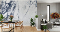 Monochrome Marble Vein Wall Mural