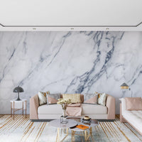 Classic White and Grey Marble Veins Wall Mural