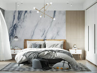 Classic Blue and White Marble Veins Wall Mural