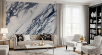 Monochrome Marble Vein Texture Wall Mural