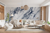Monochrome Marble Vein Texture Wall Mural
