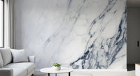 Classic Blue and White Marble Veining Wall Mural