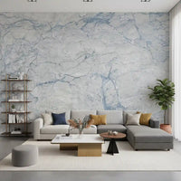 Cool Blue and White Marble Stone Wall Mural