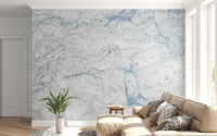 Cool Blue and White Marble Stone Wall Mural