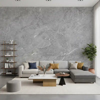Minimalist Grey Stone Slab Texture Wall Mural