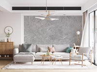 Minimalist Grey Stone Slab Texture Wall Mural