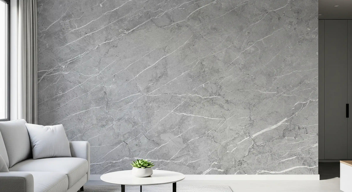 Minimalist Light Gray Veined Marble Texture Wall Mural