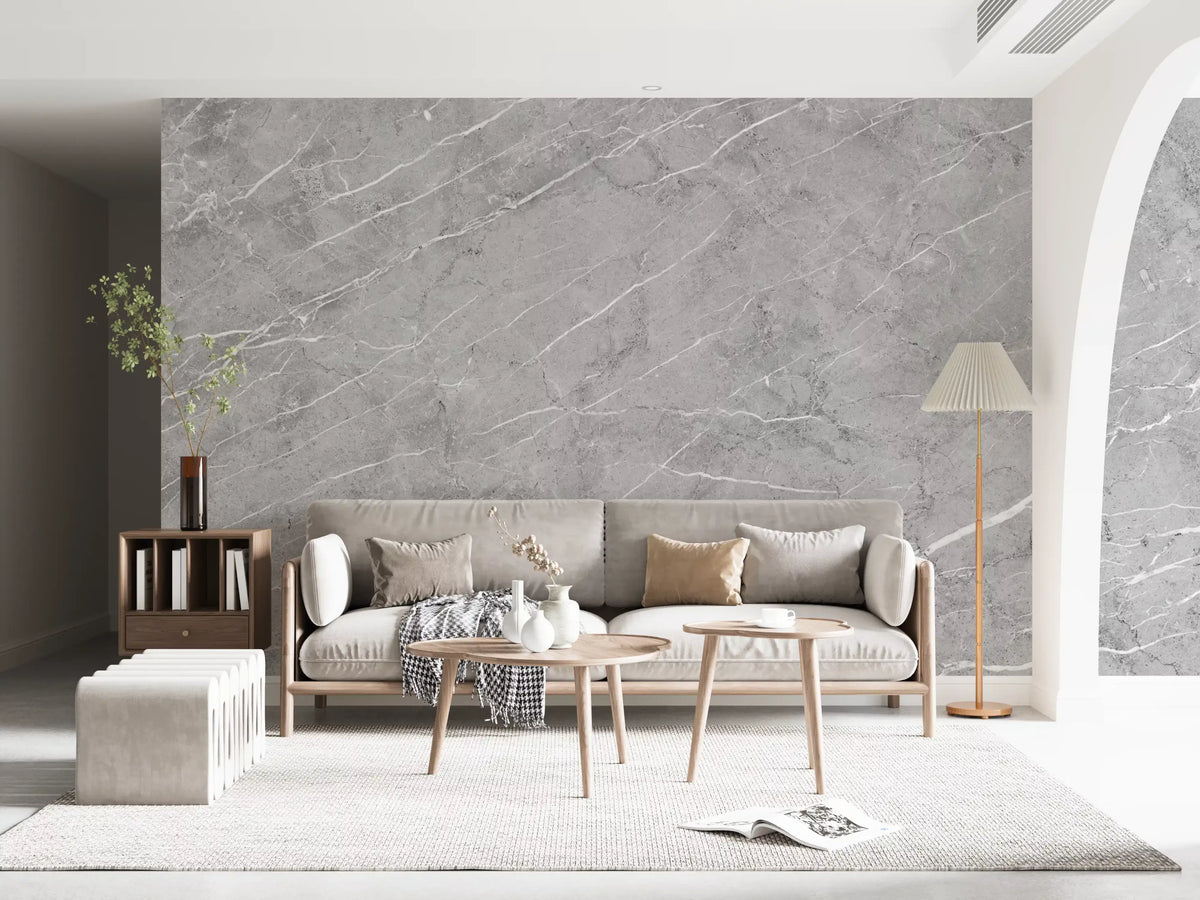 Minimalist Cool Grey Stone Texture Wall Mural