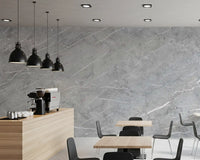 Minimalist Cool Grey Stone Texture Wall Mural