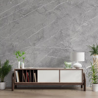 Minimalist Cool Grey Stone Texture Wall Mural