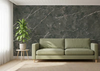 Dark Charcoal Marble Vein Texture Wall Mural