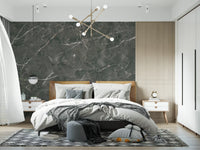 Dark Charcoal Marble Vein Texture Wall Mural