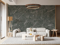 Dark Charcoal Marble Vein Texture Wall Mural