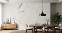 Creamy Italian Marble Slab Wall Mural