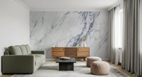 Classic Carrara Marble Vein Wall Mural
