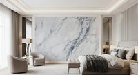 Classic Carrara Marble Vein Wall Mural