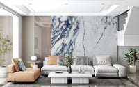 Classic Navy and White Marble Veins Wall Mural