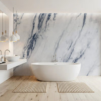 Classic Blue and White Marble Vein Wall Mural