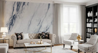 Classic Blue and White Marble Vein Wall Mural