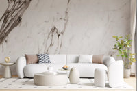 Monochrome Marble Veining Wall Mural