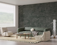 Charcoal Veined Stone Texture Wall Mural