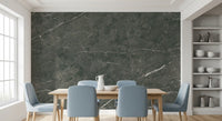 Charcoal Veined Stone Texture Wall Mural