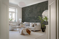 Charcoal Veined Stone Texture Wall Mural
