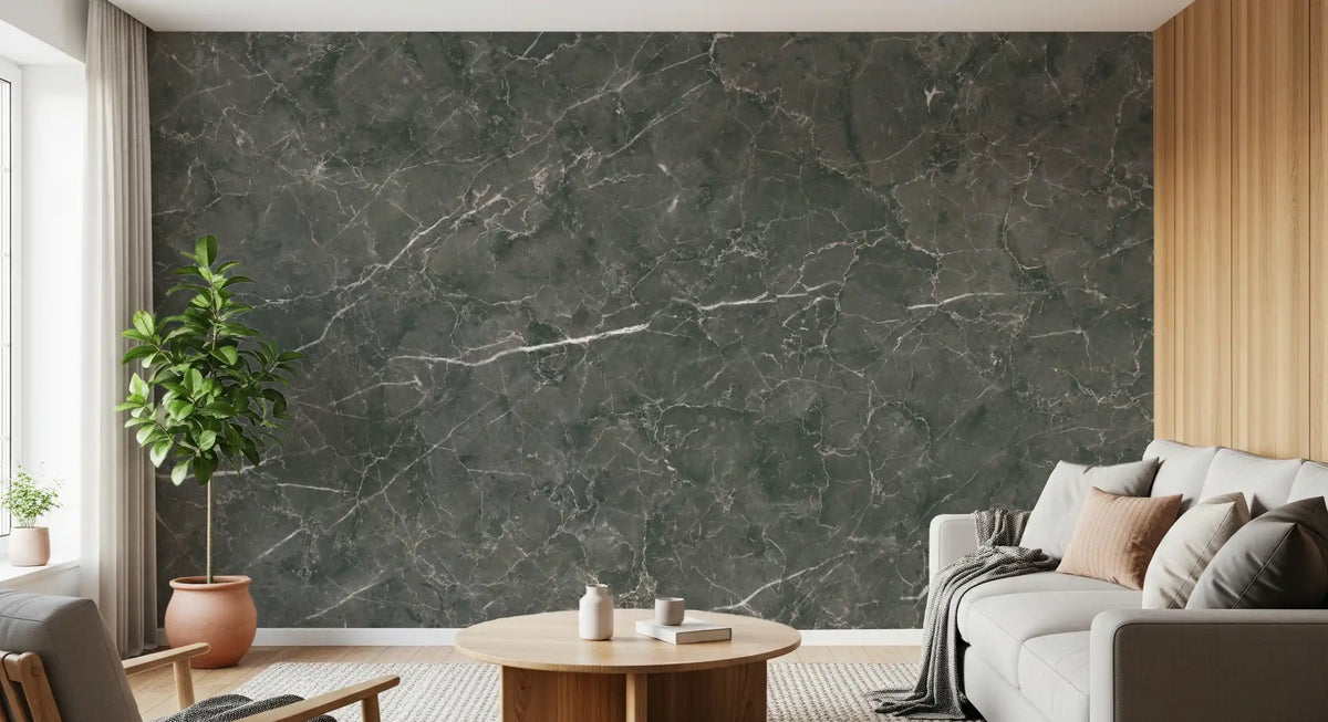 Dark Charcoal Marble Vein Wall Mural