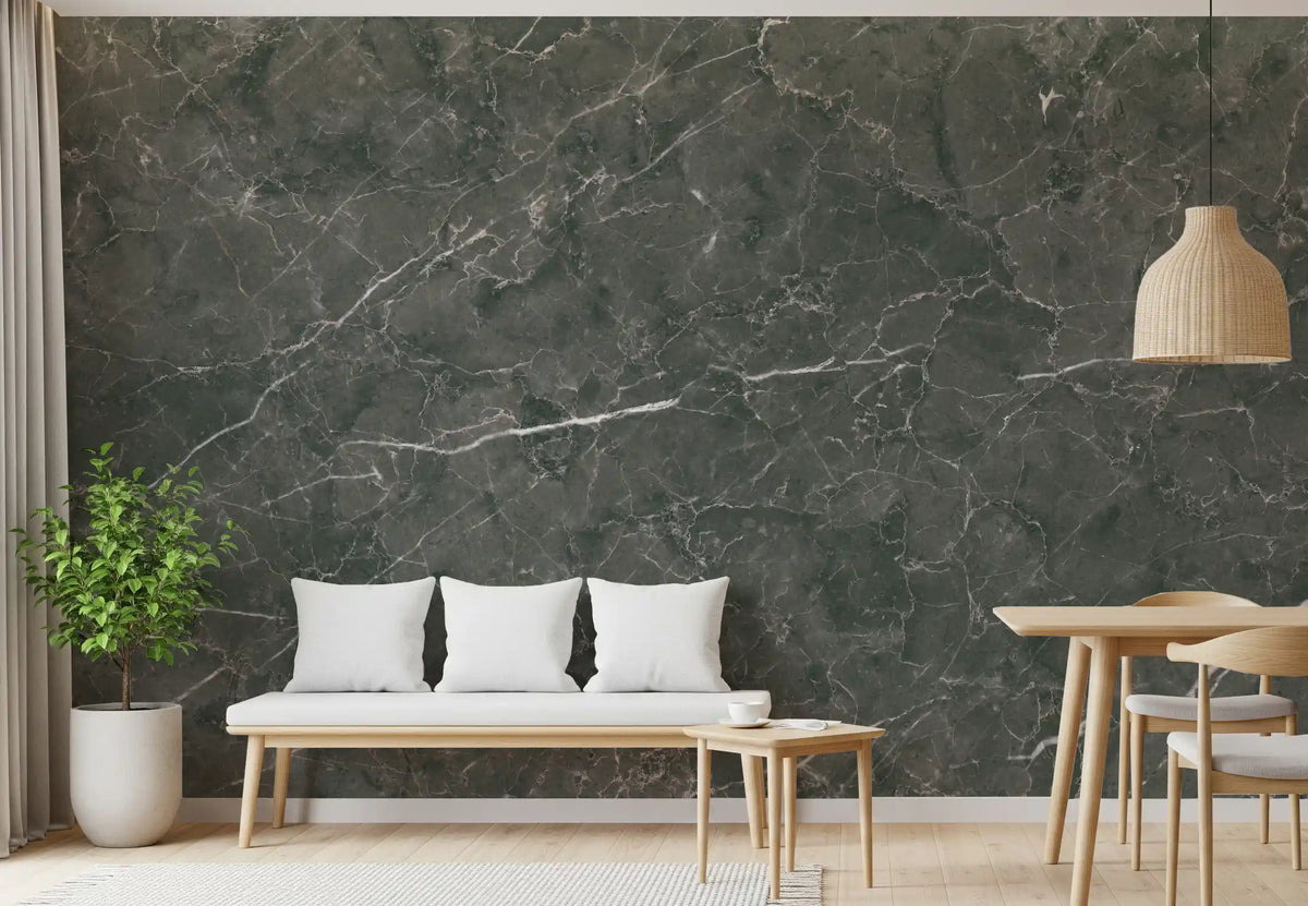Dark Charcoal Marble Vein Wall Mural
