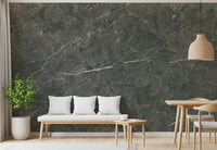 Dark Charcoal Marble Vein Wall Mural